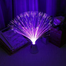 광섬유조명 Festival Valentine Atmosphere Night Lamp Colorful LED Optic Fiber Flower Light