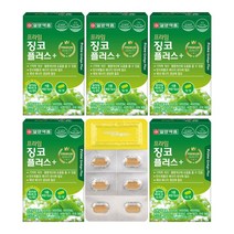 프라임 징코 플러스30정 5박스 비타민, 쿠팡 1, 쿠팡 본상품선택