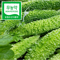 생여주 2022 월출산자락 땅끝 햇 여주 5kg 10kg, 건여주300g