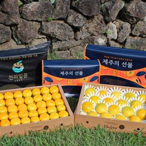 [귤담원]제주 추석 선물세트 천하일품 황금향 하우스감귤, 1박스, 05.하우스감귤 선물세트 4.5kg 로얄과(S-M)