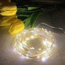 어라픽와이어전구 캠핑 인테리어 줄조명 감성파티 LED전구(2m 5m 건전지 포함), 2m 20구 리미티드스위치형(CR건전지)(12월23일발
