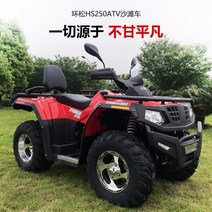 사륜 오토바이 연료 오프로드 더블 링 소나무 250atv 산 성인 수냉식 전 지형 ATV, 30 보증금