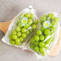 [샤인머스켓 포도] 2kg 품질포증 가정 선물 용 샤인머스캣, 샤인머스켓 2kg( 4~5수 ) 실속형