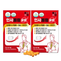 치아 뼈 잇몸 건강 기능식품 영양 보충용 제 품 인사통령 1500mg, 2개, 60정