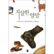 자살한 양말, 새터, 마리아순 란다 저/페데리코 델리카도 그림/유혜경 역