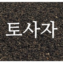 토사자 새삼씨앗, 100g
