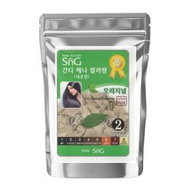 SNG 간디 헤나칼라링 100g, 네추럴트리트먼트