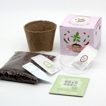 화분재배KIT 팜팜농장 고추 키우기