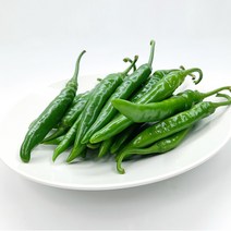 야채왕 오이고추 200g 500g 1kg 5kg 10kg, 아삭이고추5kg
