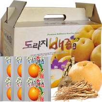 도라지배즙 1박스55포 [ 2박스구매시 20포 추가증정 ], 2박스(110포), 100ml