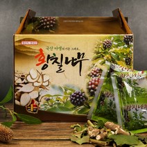 건강중심 국내산 황칠나무 엑기스 진액 100ml 60포 황칠나무즙, 120포