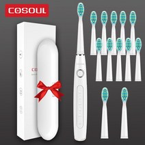 음파전동칫솔 초음파 전동 칫솔 음파 진동 치솔전문 소닉 전동 칫솔 5 가지 모드 치과 의사는 잇몸을 보호, 러시아|White10Heads1Box