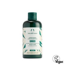 더바디샵 진저 스캘프 케어 컨디셔너 250ML 두피케어, 1개, 기본