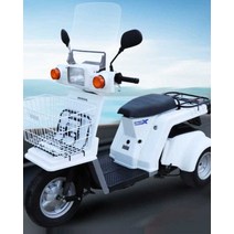 삼륜오토바이 전기스쿠터 세발 전동 농업용 삼발이 배달오토바이 스쿠터, B