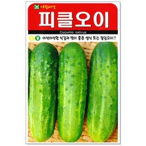 피클오이 50립, 1개