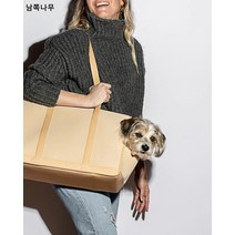 미니어처 강아지 아웃도어 가방 반려묘 가방 편안하고 통기성이 좋은 미니어처 강아지 휴대용 숄더 토트 크로스 아웃도어 가방, 강황색