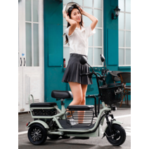 충전식 리튬 배터리 3인승 2인승 통근 출퇴근 전기 자전거, 싱글 전기자전거 12A/50km 2인승