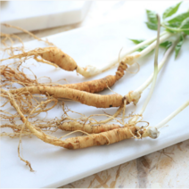 동우네 산양산삼 산양삼 장뇌삼 장뇌산삼 12년산 7년산 5~6년산, 5~6년근 5뿌리