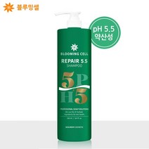[모발영양특허제품] 리페어5.5 지루성 두피염 비듬 모발 샴푸, 2개