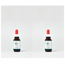 Origin-A Propolis Liquid 40% 오리진에이 프로폴리스 리퀴드 40% 논 알코올 25ml 2팩