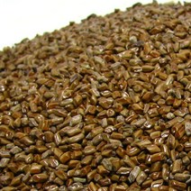 자연초 국산 결명자 결명자차 500g, 1개