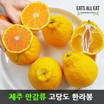 이츠올릿 제주 고당도 한라봉 5kg (가정용 중소22과) 제주도 하우스 귤 택배 선물 세트