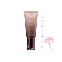 [최신제조] 미샤 M 초보양 비비크림 50ml 밀착커버 한방BB, M 초보양 비비크림 50ml 17호