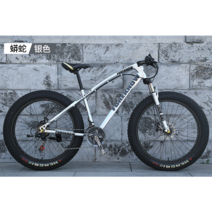 풀샥 MTB 자전거 고급 오프로드 두꺼운 타이어, 디자인 7_21단_24 인치