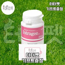 터터펫 인트라젠 200정 강아지 유산균 터터펫기프트 증정 애견 고양이 반려동물 장 건강 설사 예방 영양제