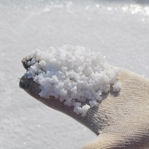 신안천일염 2023년산 천일염20kg 소금 굵은소금 김장소금 생산자가 직접 생산 및 발송, 1포, 20kg