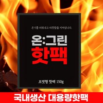 온그린 국산 대용량 손난로 핫팩, 20개, 100g