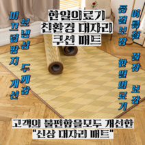 한일의료기 그린 대자리 쿠션 매트, 혼합색상