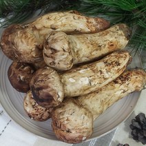 2023 백두산 자연산 송이버섯! 생송이버섯! 백두산 송이 버섯은 찐한 향이 살아 있습니다., VIP등급(선물용) 1kg