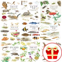 세밀화로 그린 보리 어린이 도감 시리즈 책 동물 흔적 갯벌 곤충 나무 민물 바닷 물고기 버섯 새 식물 양서류 파충류, 양서류 파충류 도감
