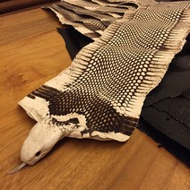 자연 색상 곡물 정품 뱀 가죽 DIY 수제 벨트 신발 핸드백 두께 0103mm, 06 10cm