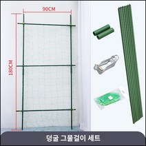 킹마이크로 플라스틱 덩굴 그물걸이 세트 대 2세트 수경재배 베란다 직사각 스마트팜 채소 야채 식재용, 단품