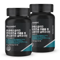 뉴센트리 프로테오글리칸 비변성 2형 콜라겐 연어코연골 추출물 분말 정 상어연골 콘드로이친 글루코사민, 60정, 2개