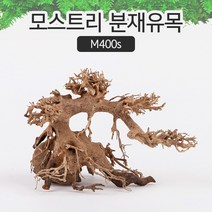 모스트리 분재유목S M400s
