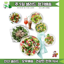 안산샐러드정기배송 2주 10일 매일배송 [ 안산샐러드 배달 ], 15시~16시, D