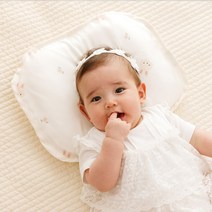 베베누보 하이진 인견 아이스 필로우 두상관리 아기 짱구베개, 22년 하이진 아이스 필로우(인견커버), 알파벳다이노, S size