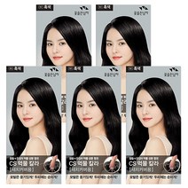 꽃을든남자 먹물 흑색 N1x5개 헤어스타일링 헤어 염모제 스타일링 염색약, 120g, black, 5팩