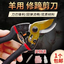 말굽 칼 발굽 수리 가축 말 장제용품 말발굽 관리 용품 다듬기, B.양 발굽 트리머 레드 그레이 블랙 블레이드