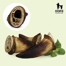 웁스 소뿔속의 껌 오래먹는 국내산 간식, L