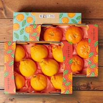 (롯데백화점)제주 한라봉 1.6kg 6-9과+레드향 1.6kg 6-9과 과일선물세트