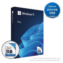 [온라인판매인증점] Windows 11 Pro (FPP/한글/USB) 윈도우11프로, 1개, 선택하세요
