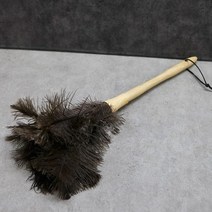 타조깃털 먼지떨이 먼지털이개 먼지제거 청소도구 _ 2027422EA, 쿠팡2보글보글 1, 쿠팡2보글보글 본상품선택