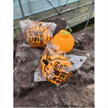[지삿개농장]제주 한라봉 고당도 2KG+1KG, 대과2+1× 2개구매, 2개