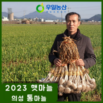 [우일농산] 23년 올해 수확 햇마늘 의성 통마늘 1접 (한 접 100개 내외 대 사이즈 이상) 육쪽마늘 산지직송, 3접 300개(톨)