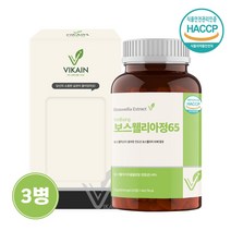 관절 연골 보스웰리아 분말 가루 정 알약 보스웰릭산 함량 65% 테르페노이드 무릎 관절 연골 뼈 효능 추천 먹는법, 3개, 120정