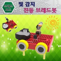 쭈bapha_사이언스팜 빛감지 진동 브레드봇 브레드 보드로보트 기판 전자회로키트만들기 보드로 로봇♥LtMS, ♥myside!